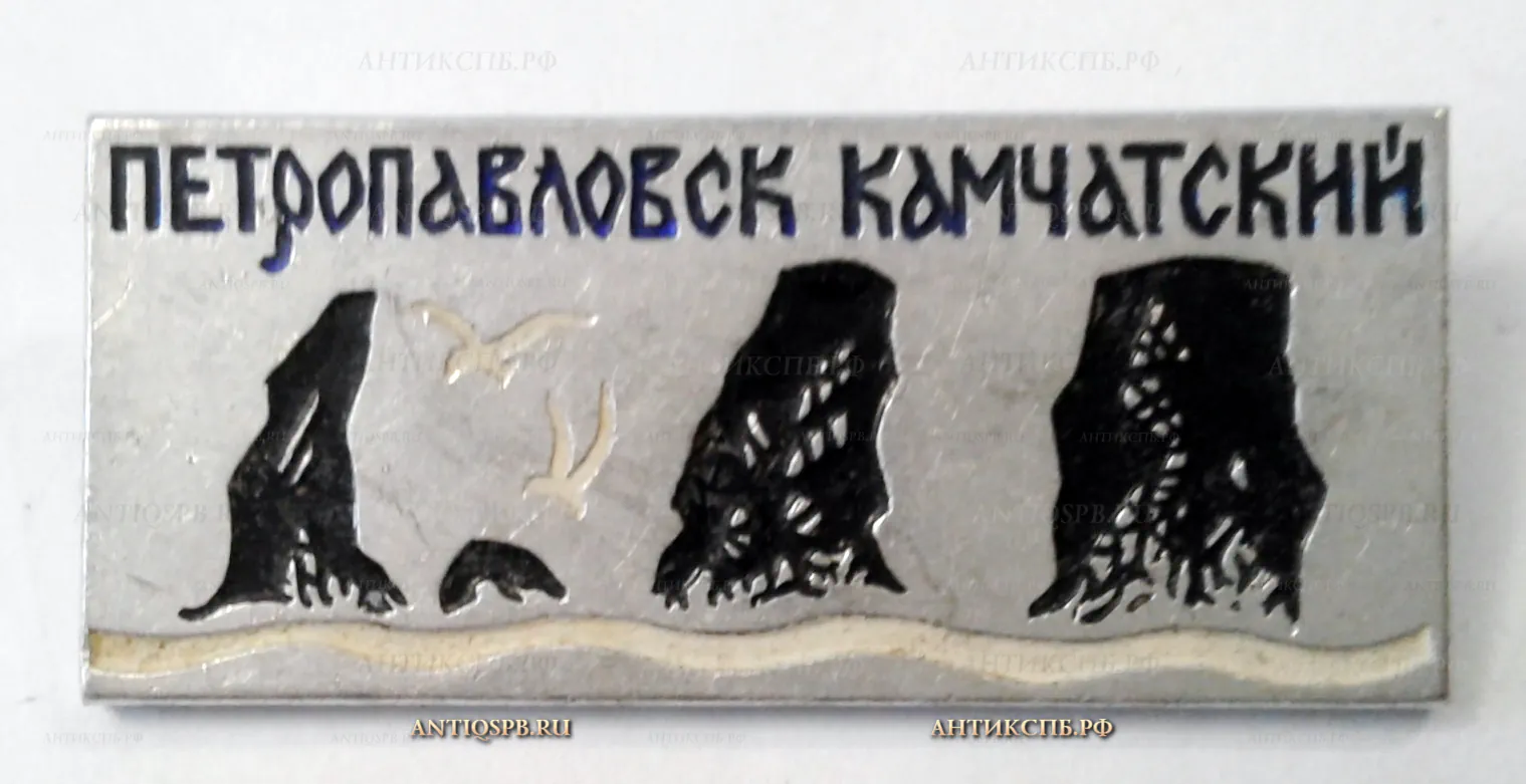 Значок "Петропавловск-Камчатский" СССР Вт. пол. ХХ века №2064